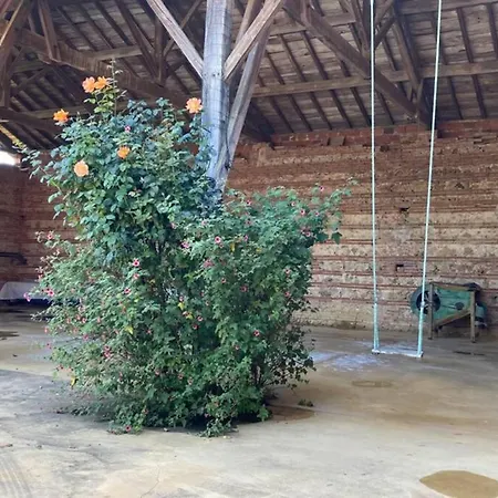 Villa Mountoussin - Ferme De Charme Vue Pyrenees Avec Piscine Montoussin